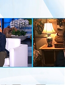ellen-caps_035.jpg